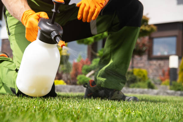 Best Pest Removal Services  in Gorman, NC