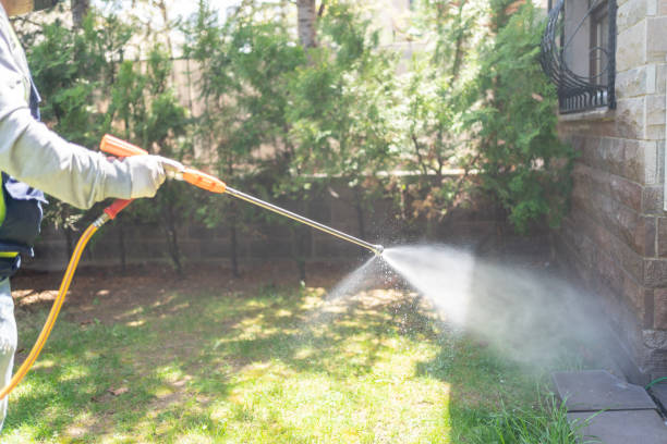 Best Best Pest Control Companies  in Gorman, NC